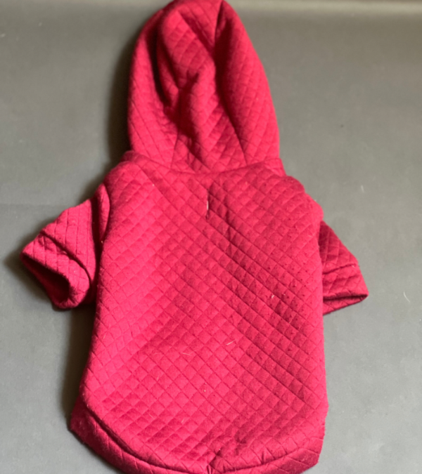CHAMARRA COLOR ROSA PELUDA POR FUERA, ES DE CIERRE, NO ES FORRADA POR DENTRO, PERO ES CALIENTITA Y MUY BONITA. IDEAL PARA PERRO Y TAMBIÉN GATO DE PEQUEÑOS A MEDIANOS.