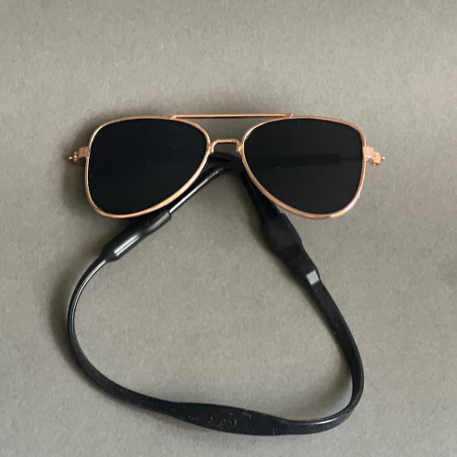 lentes para razas pequeñas. perro o gato color negro