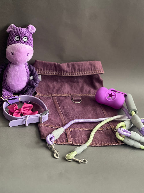 OUTFIT CON CHALECO MEZCLILLA MORADO. CHALECO PARA PERRO O GATO DE MEZCLILLA EN COLOR MORADO CON BOTONES A PRESIÓN PARA PERRO O GATO. SIN MANGA, HECHO DE ALGODÓN, SE PUEDE USAR SOLO O CON CAMISA, JERSEY, POLO, PLAYERA. UNA PRENDA CON MUCHAS COMBINACIONES.