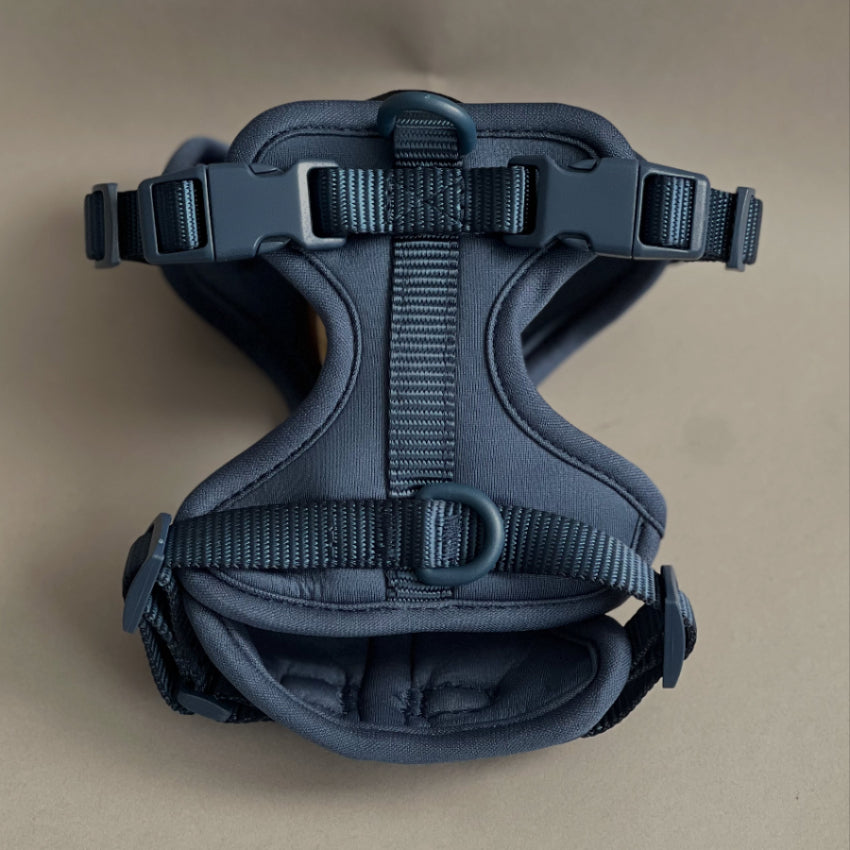 LIVIANA ELEGANTE, RESISTENTE Y COMODA PARA PERRO PEQUEÑO A GRANDE