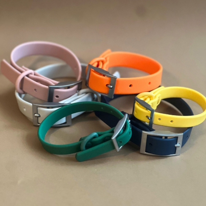 Collar con hebilla para razas pequeñas, medianas y grandes